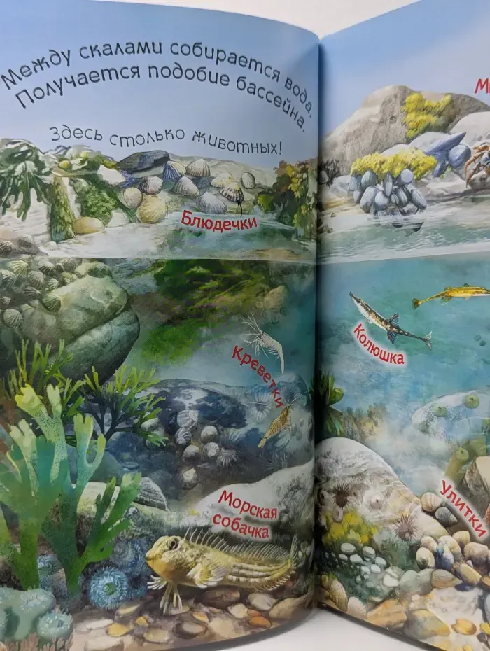 Умные книжки. На морском берегу