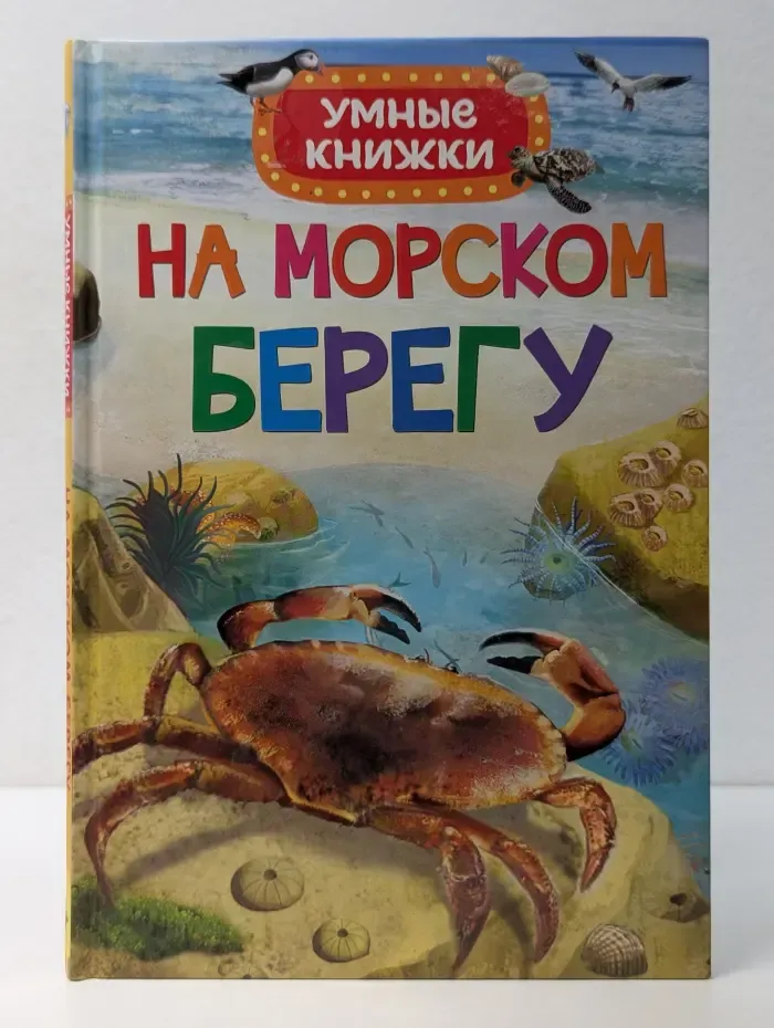 Умные книжки. На морском берегу