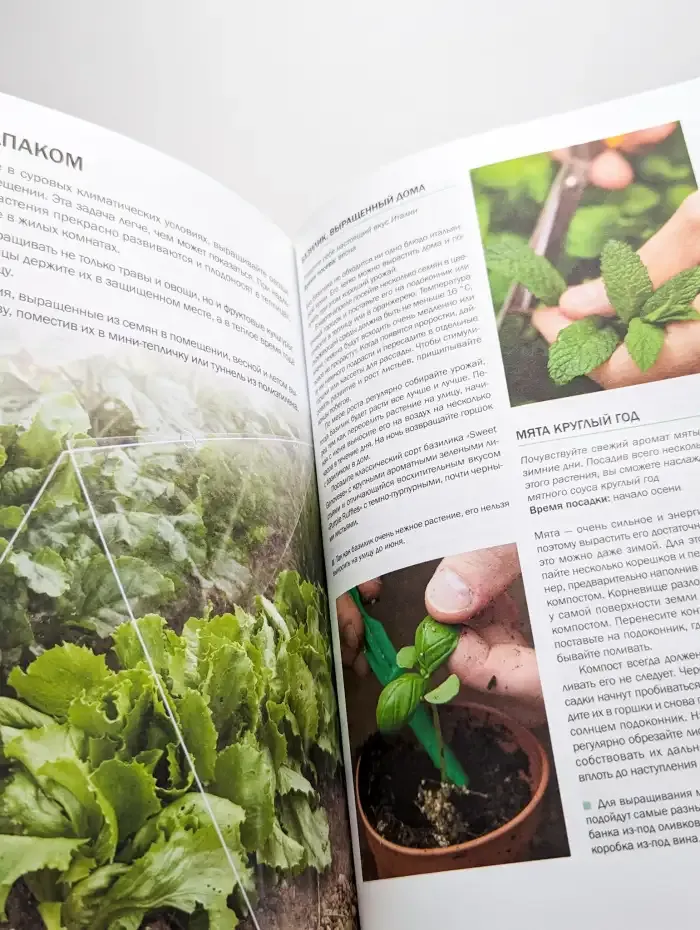 Шесть соток