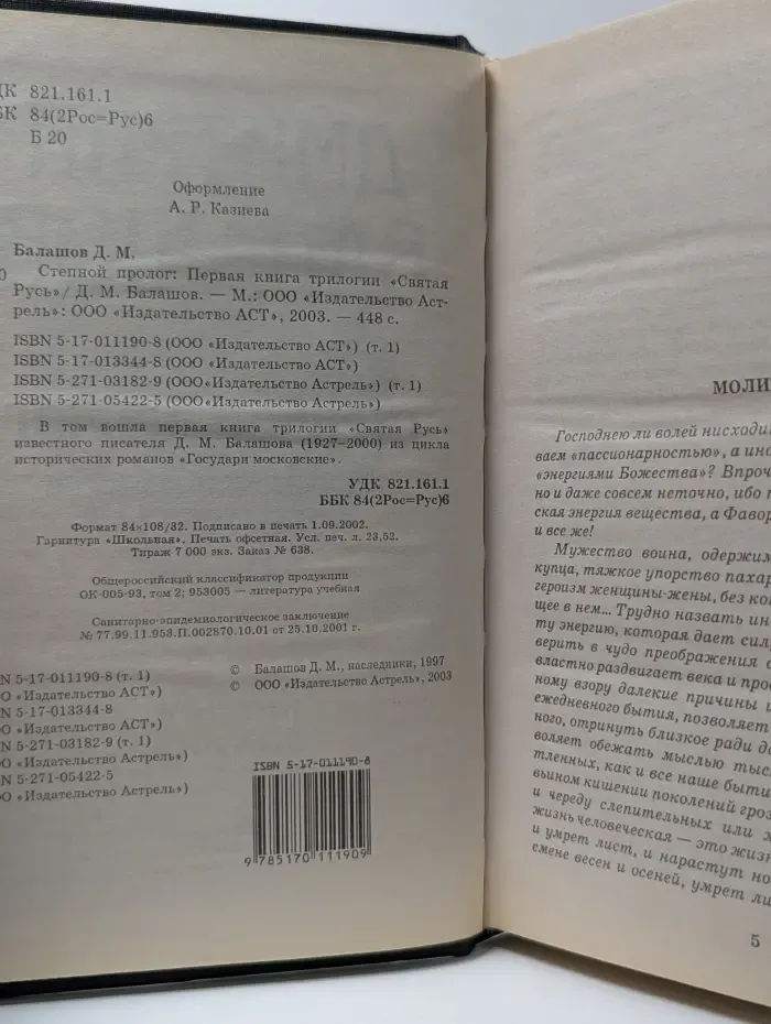 Святая Русь. Книга 1. Степной пролог