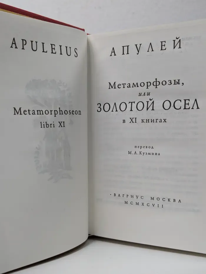 Метаморфозы или Золотой осел
