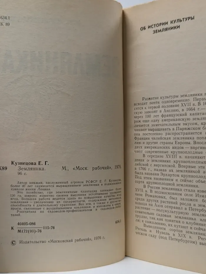 Земляника