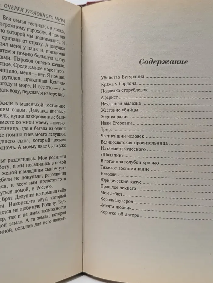 Русские злодеи. Негодяй. Очерки уголовного мира царской России