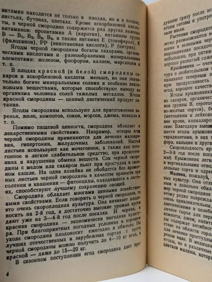 Ягодные кустарники