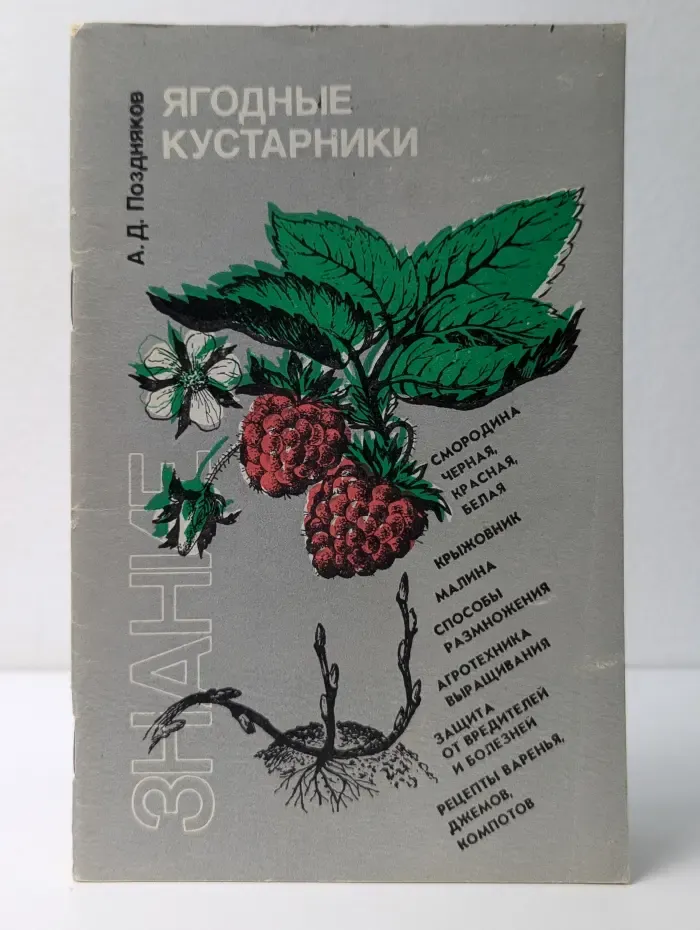 Ягодные кустарники