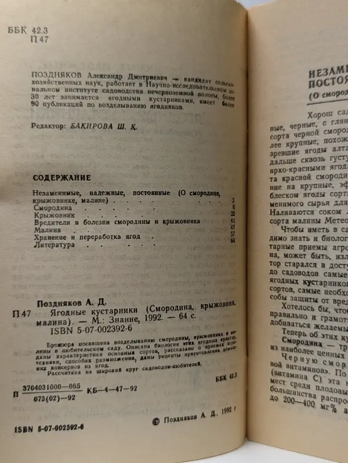 Ягодные кустарники
