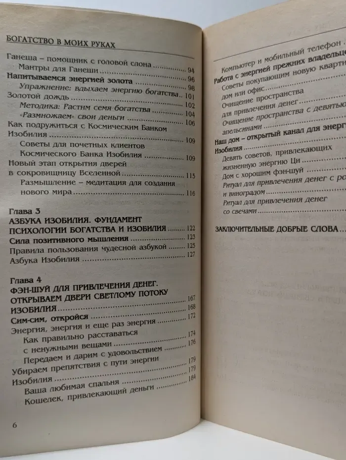 Мечты сбываются. Богатство в моих руках. Руководство по привлечению денег