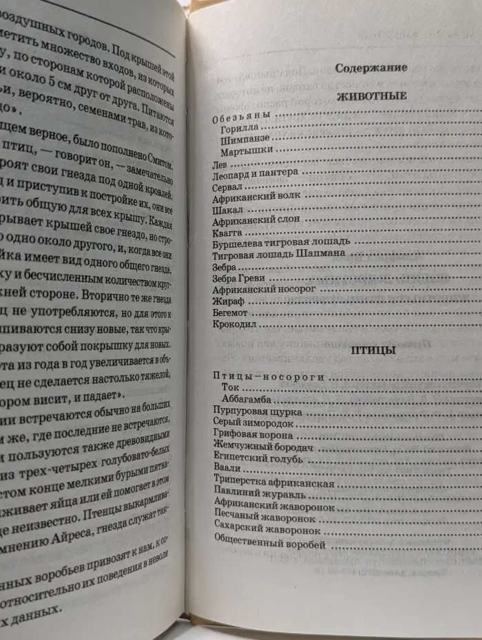 Жизнь животных. Животные и птицы Африки
