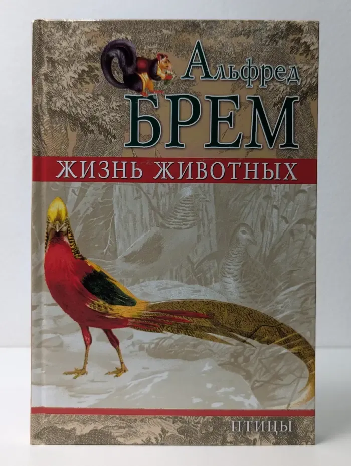 Жизнь животных. Том 4. Птицы