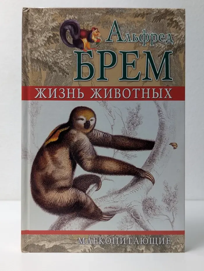 Жизнь животных. Том 1. Млекопитающие