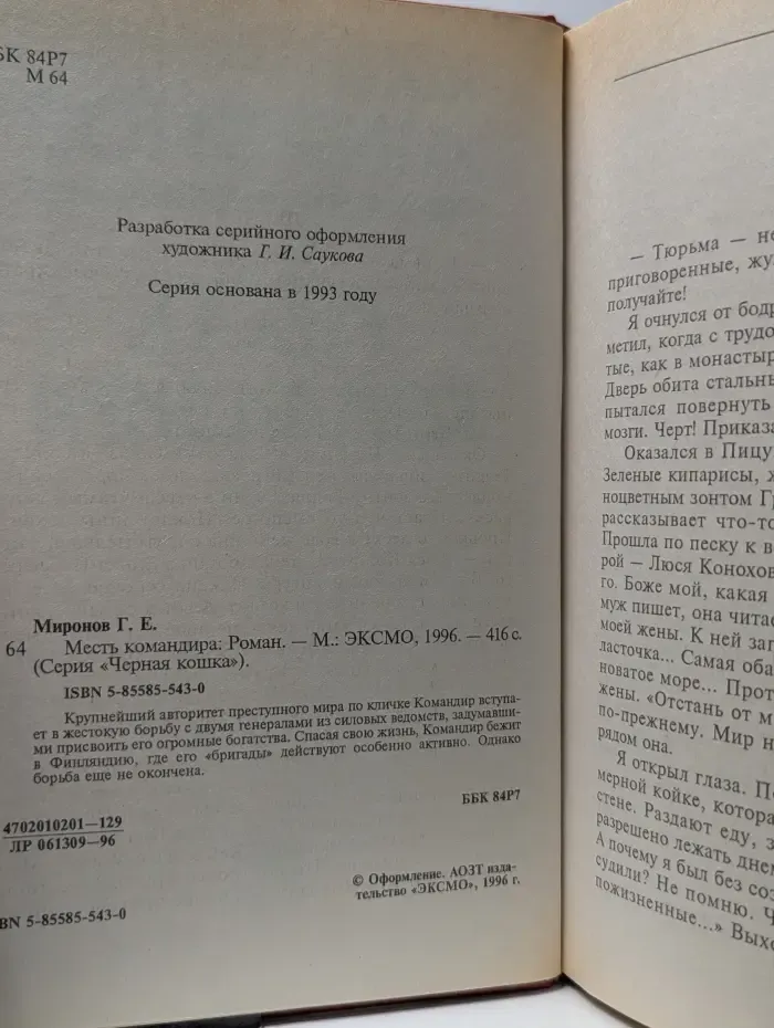 Черная кошка. Месть командира