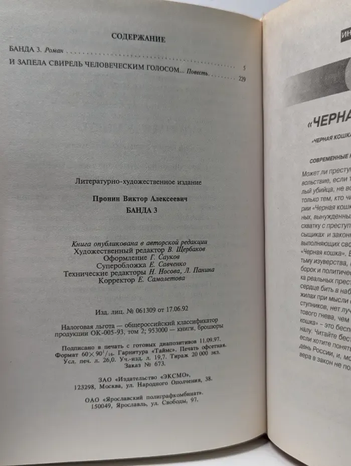Черная кошка. Банда 3. И запела свирель человеческим голосом