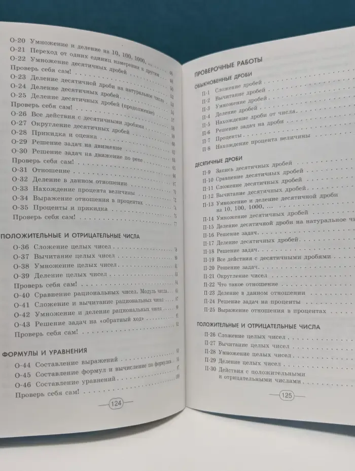 Математика. 6 класс. Дидактические материалы