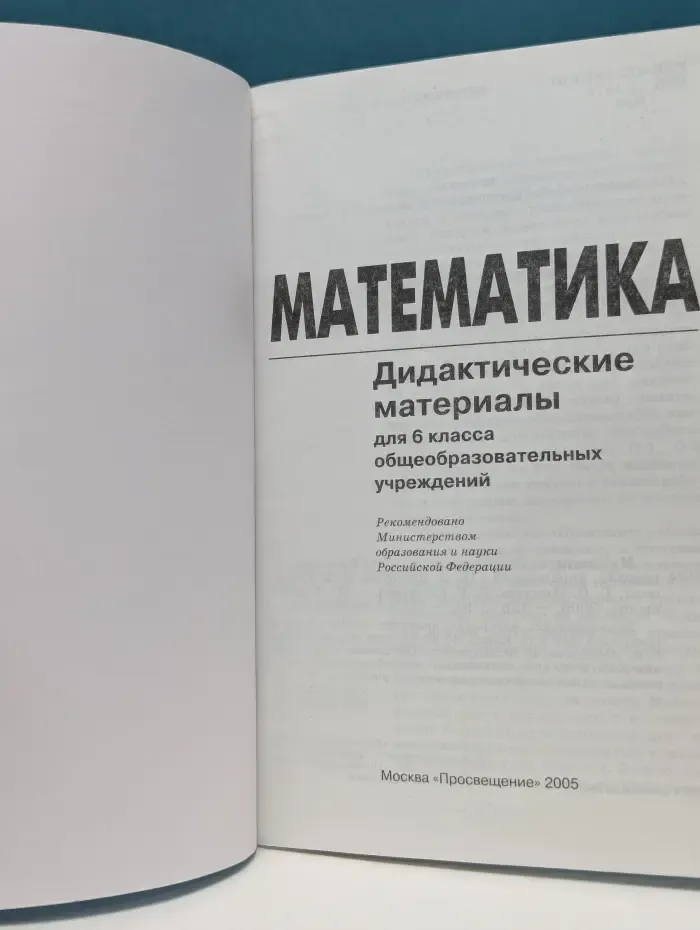 Математика. 6 класс. Дидактические материалы