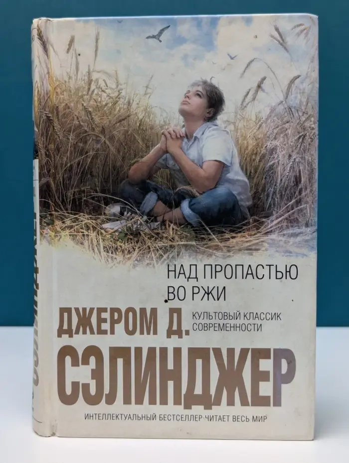 Интеллектуальный бестселлер. Над пропастью во ржи