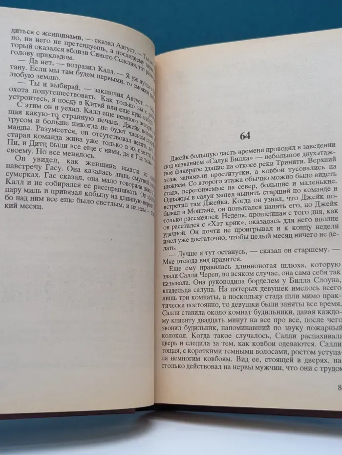 Одинокий голубь. Книга 2
