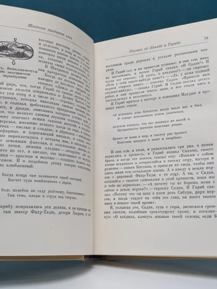 Книга тысячи и одной ночи. Том 6. Ночи 607-756
