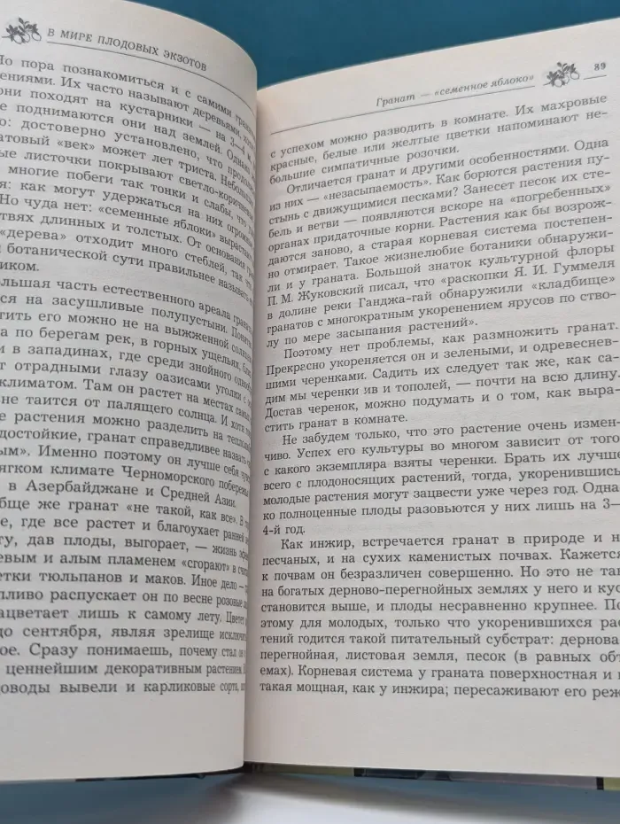 Плодовый сад в комнате