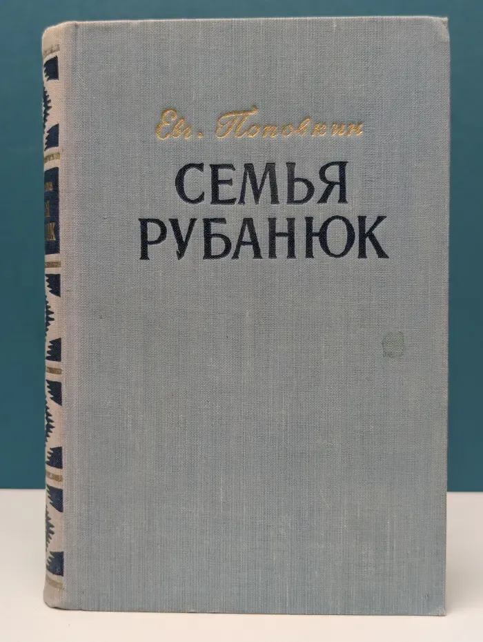 Семья Рубанюк. В 2 книгах. Книга 2