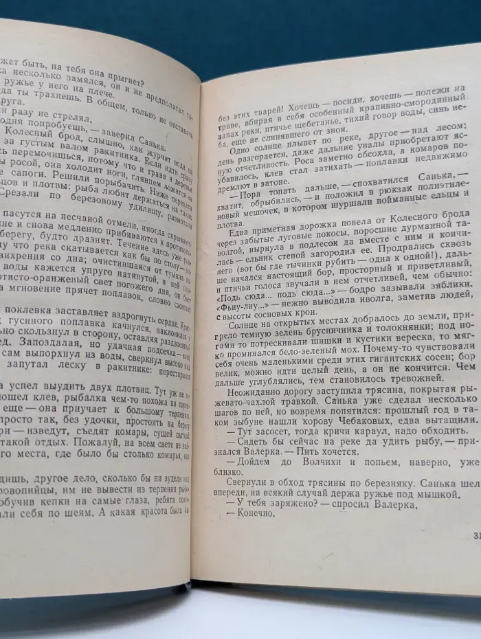 Санькино лето