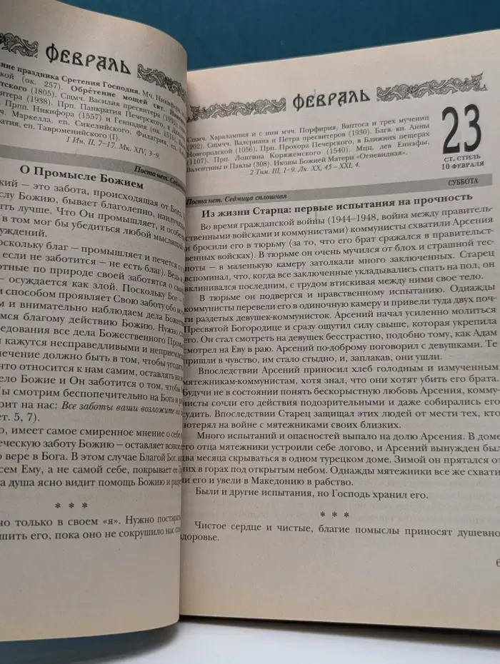 Год со старцем Паисием. Православный календарь на 2008 год