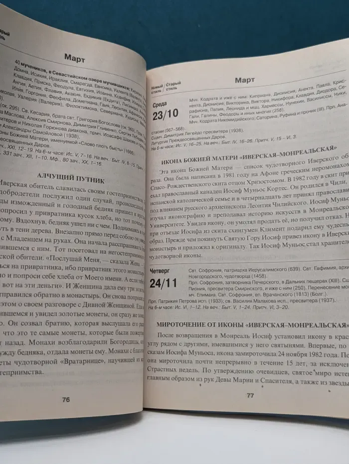 Под Покровом Пресвятой Богородицы. Земные уделы Царицы Небесной. Православный календарь 2016