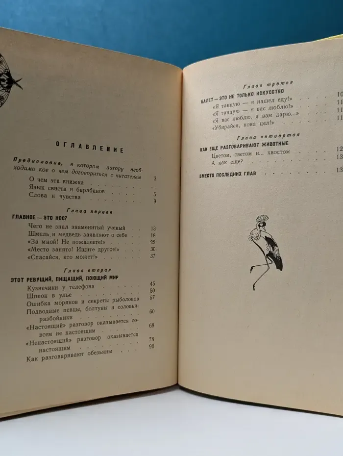 Здравствуй, белка! Как живешь, крокодил?