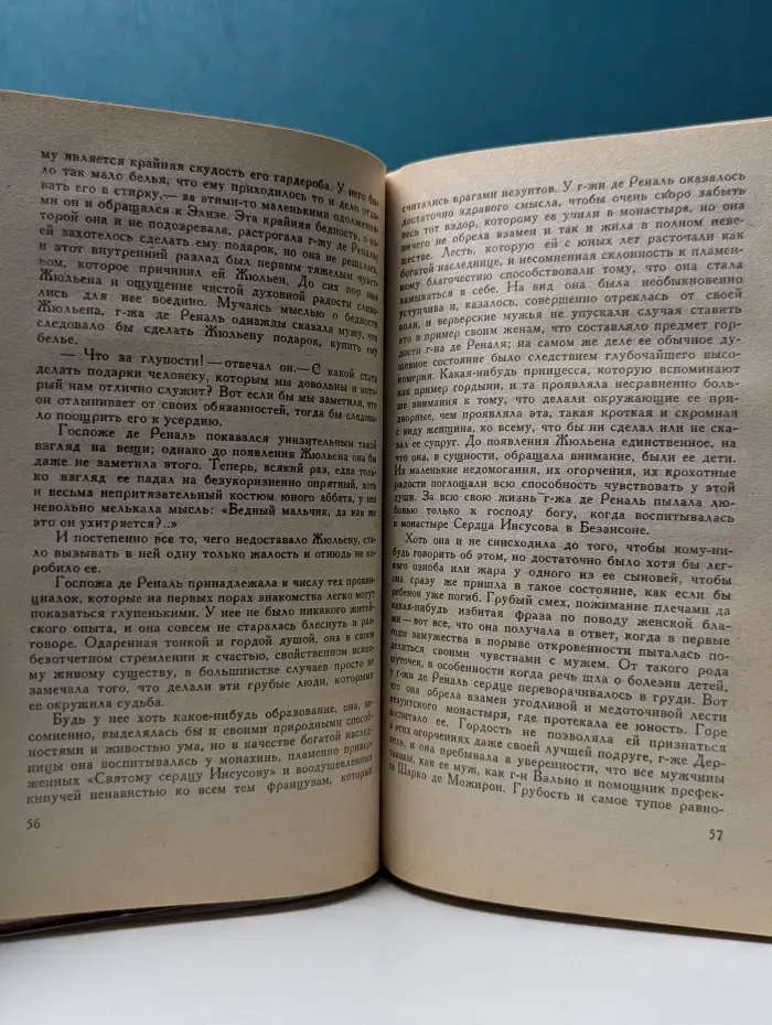 Красное и черное. Хроника XIX века
