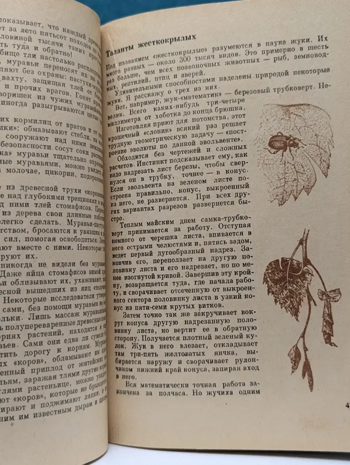 Причуды природы