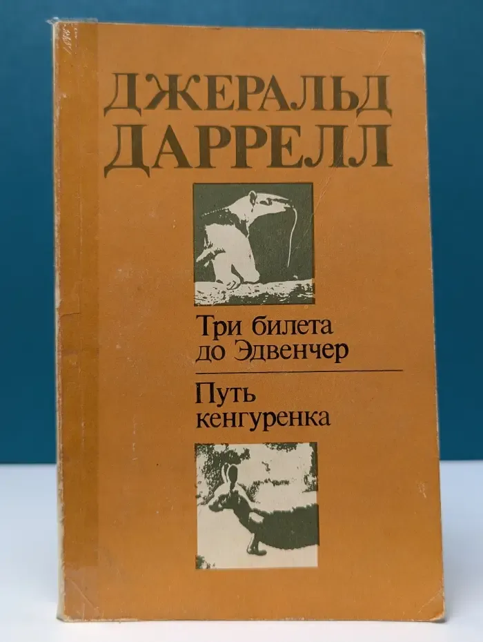 Три билета до Эдвенчер. Путь кенгуренка