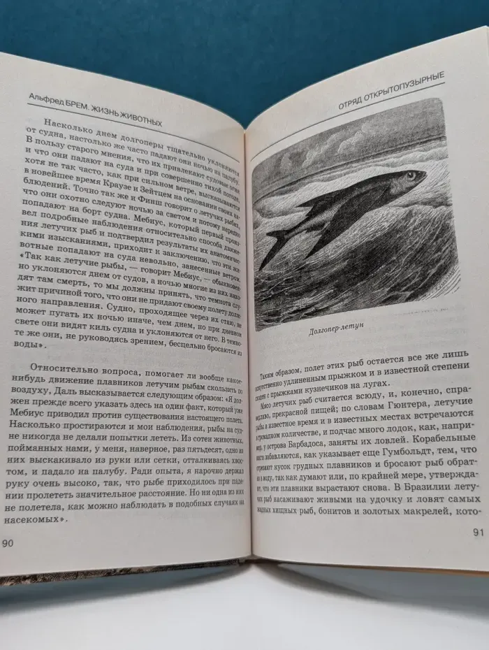 Жизнь животных. Том 2. Рыбы