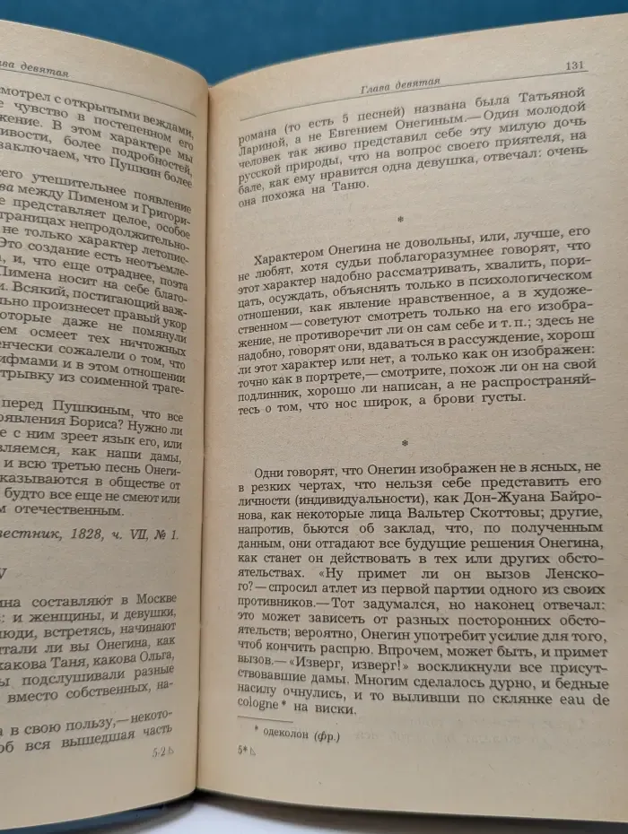 Жизнь Пушкина. В 2 томах. Том 2