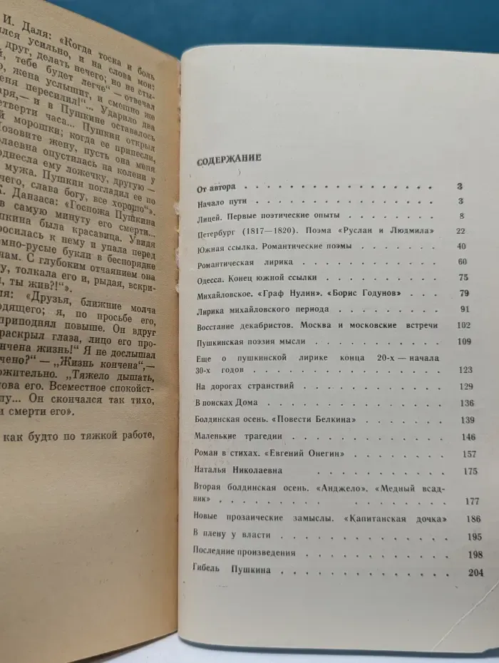Литературоведение и языкознание. Пушкин. Жизнь и творчество