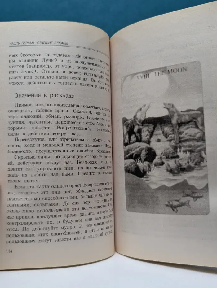 Для начинающих. Таро для начинающих