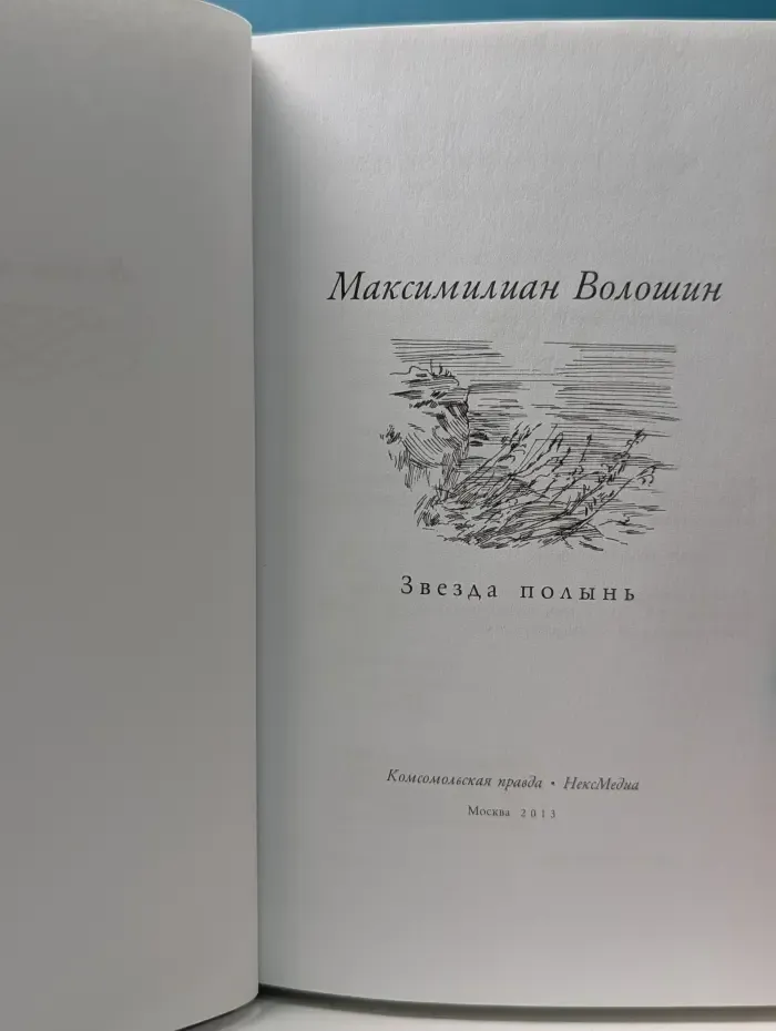 Великие поэты. Том 62. М. Волошин. Звезда полынь