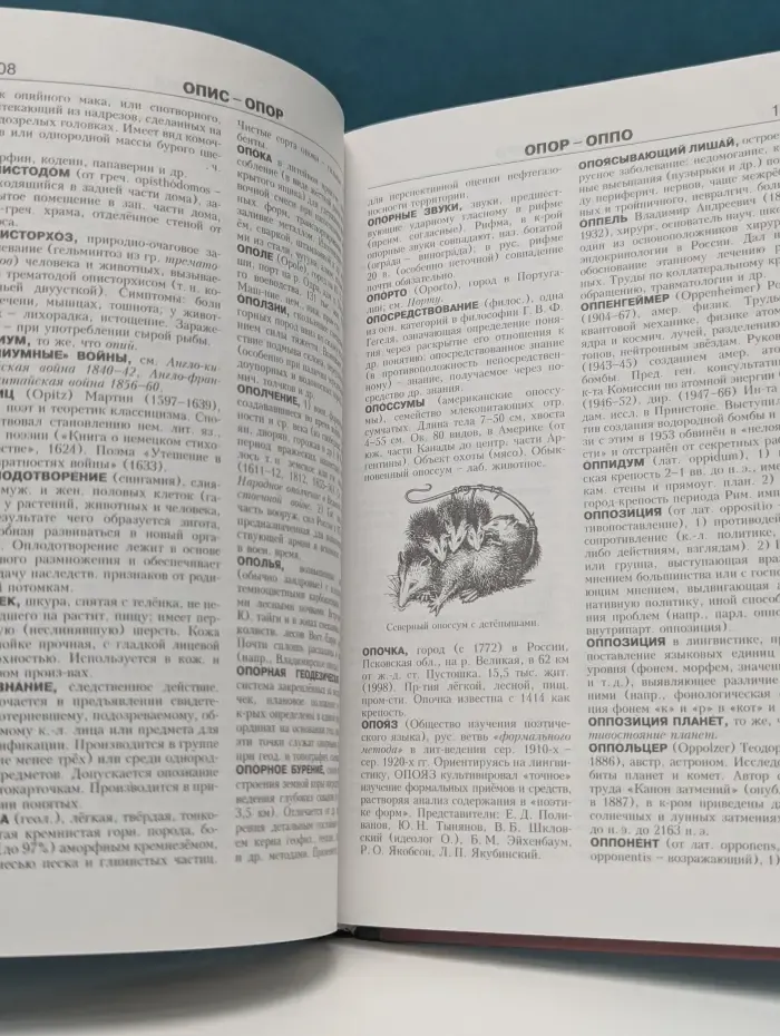 Новая иллюстрированная энциклопедия. Том 13. Но-Пе
