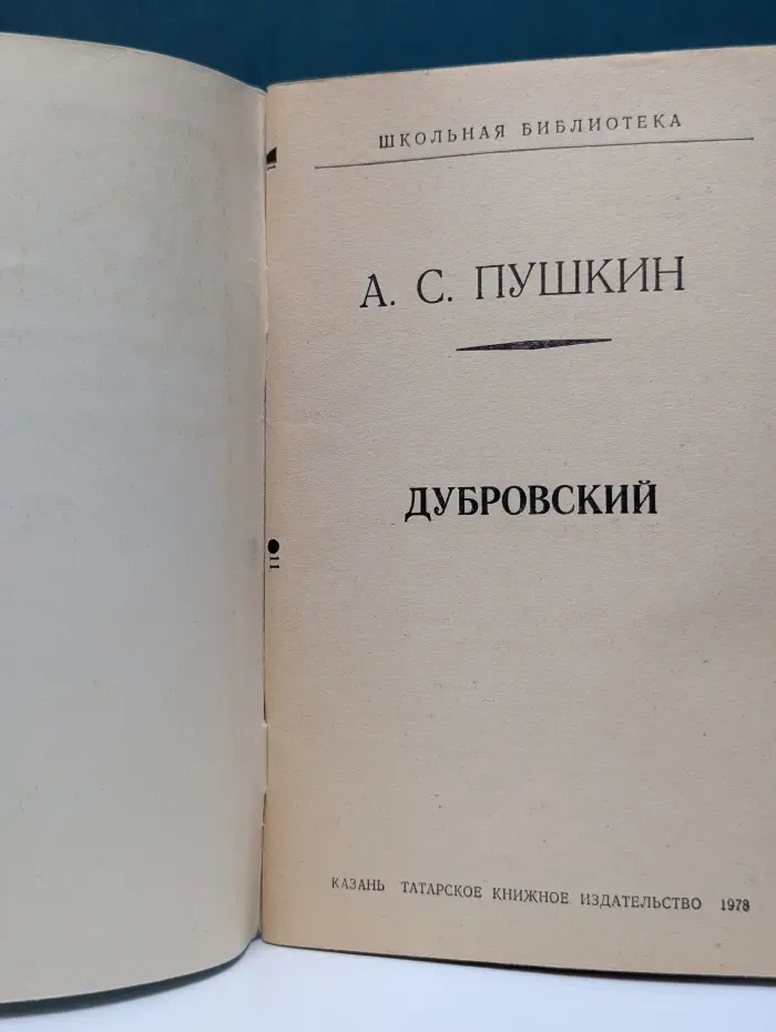 Школьная библиотека. Дубровский