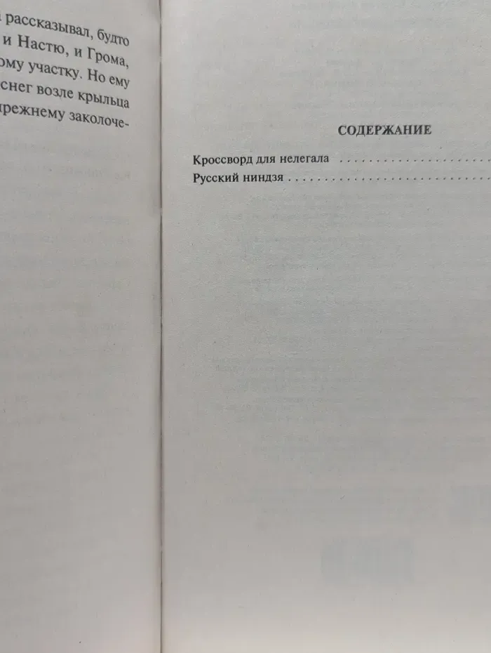 Черная кошка. Кроссворд для нелегала