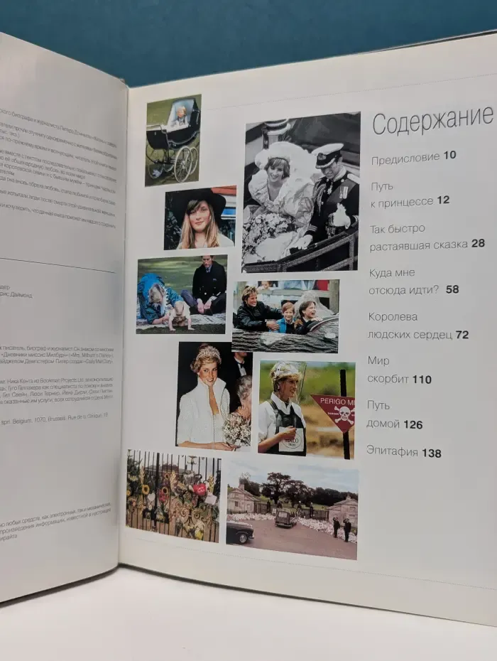 Диана. Жизнь и смерть принцессы