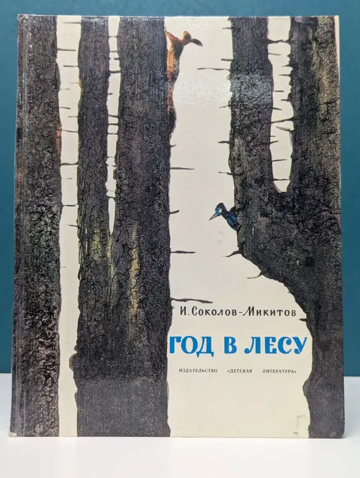 Год в лесу