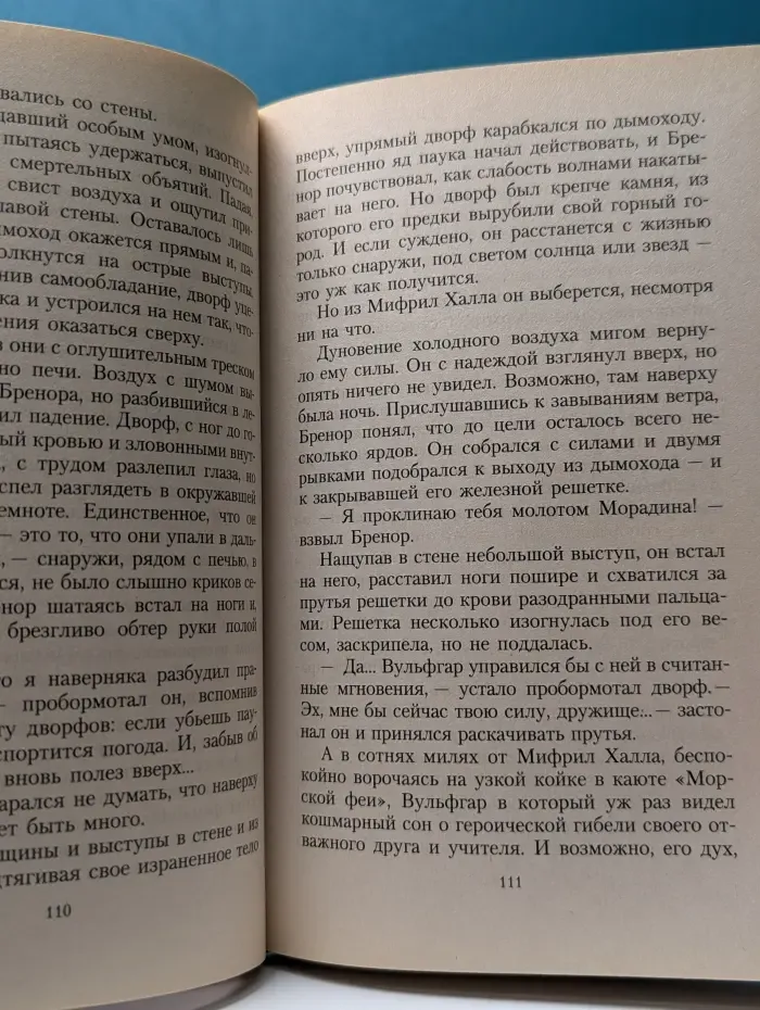 Forgotten Realms. Проклятие рубина