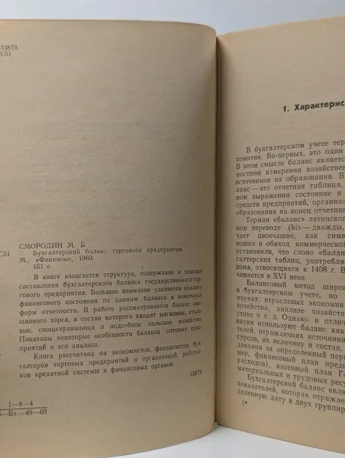 Бухгалтерский баланс торгового предприятия