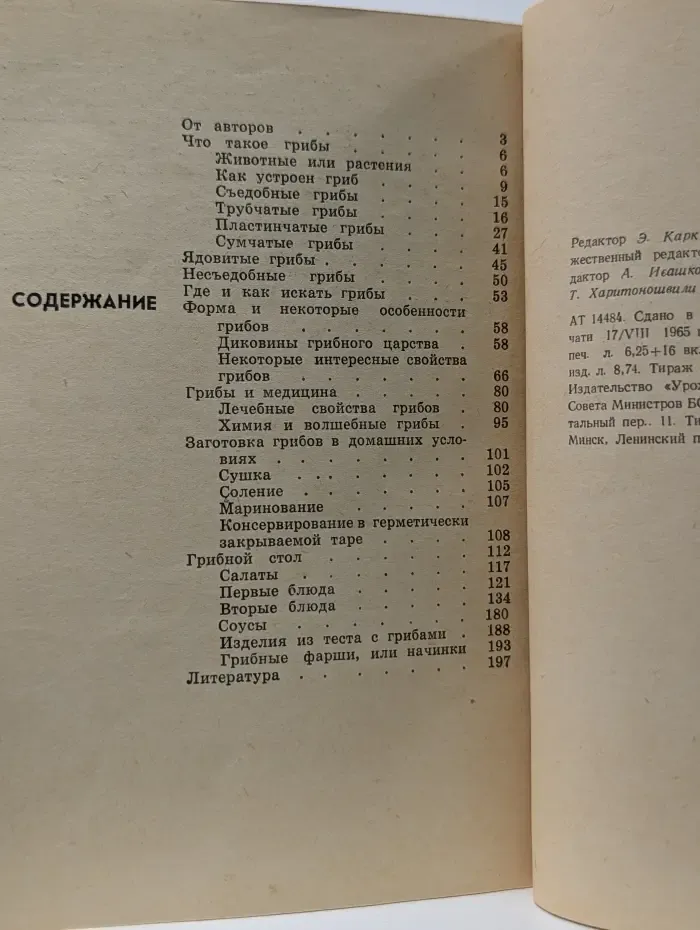 Грибы наших лесов