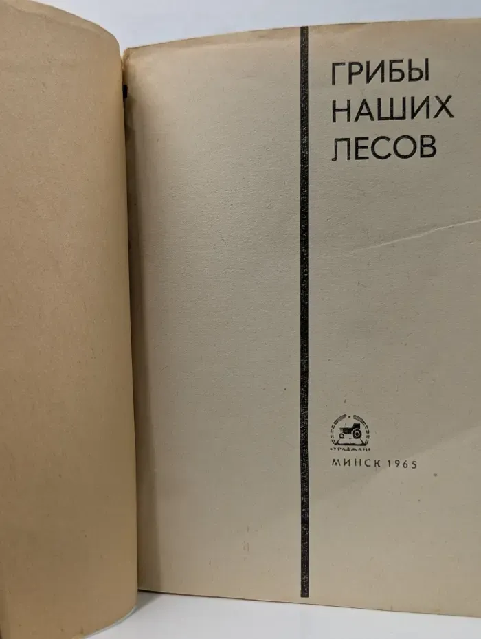 Грибы наших лесов