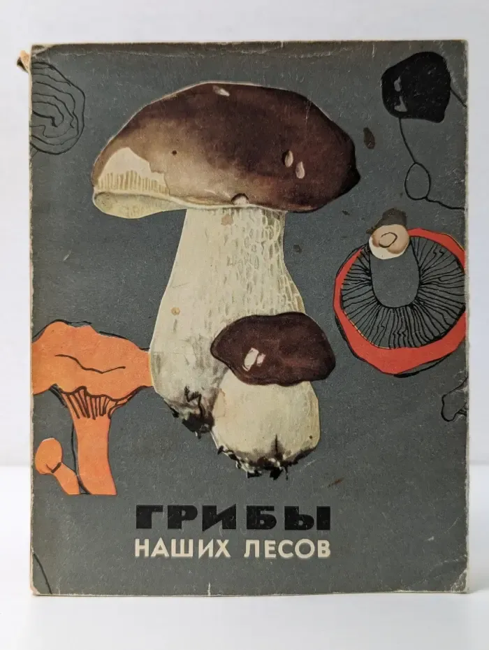 Грибы наших лесов