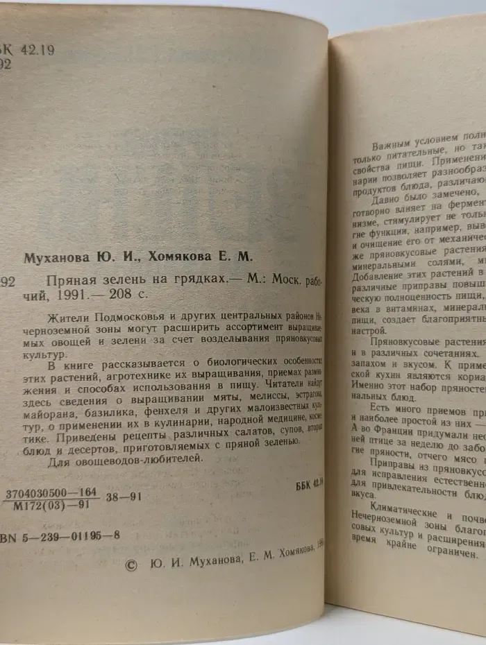 Пряная зелень на грядках