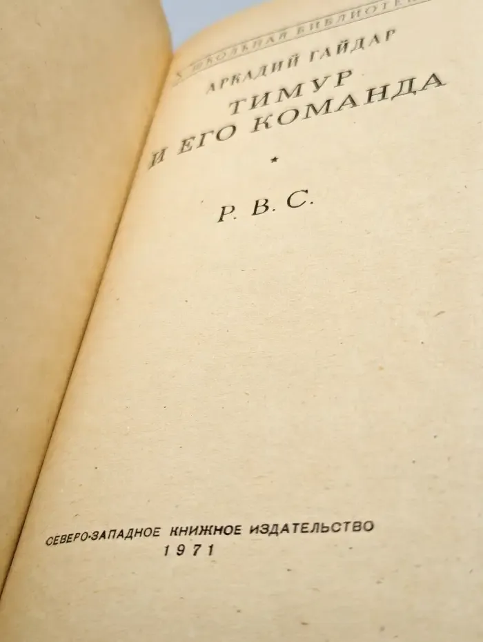 Тимур и его команда