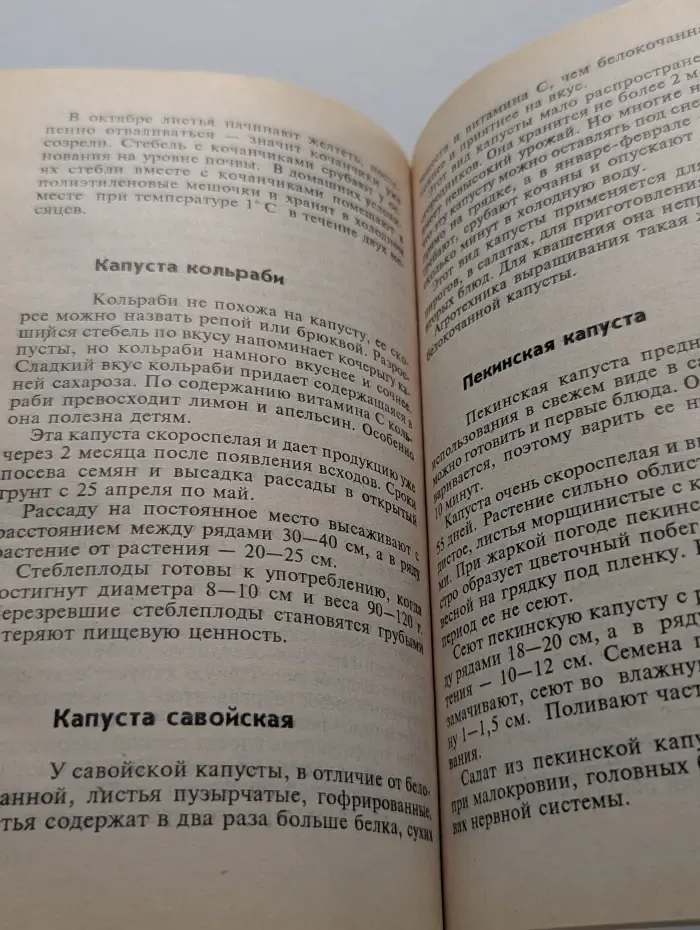 Наш огород