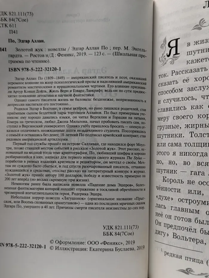 Школьная программа по чтению. Золотой жук. Новеллы