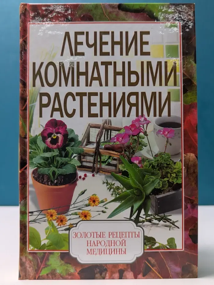 Золотые рецепты народной медицины. Лечение комнатными растениями